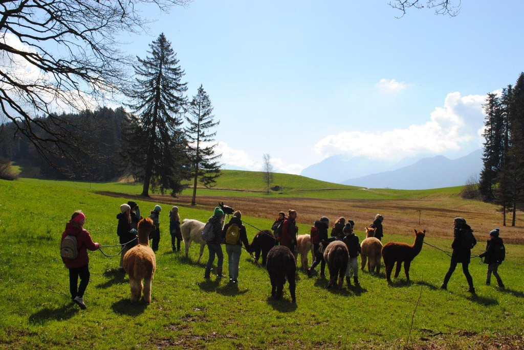 Alpaka Wanderung __ Stadt Feldkirch _1_.jpg