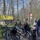 IMG_6427-1.jpg