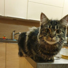 WhatsApp Image 2023-04-15 at 20_59_26 _1_.jpeg