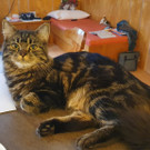 WhatsApp Image 2023-04-15 at 20_59_26 _2_.jpeg