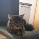 WhatsApp Image 2023-04-15 at 20_59_27.jpeg