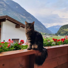 WhatsApp Image 2023-04-15 at 20_59_28.jpeg