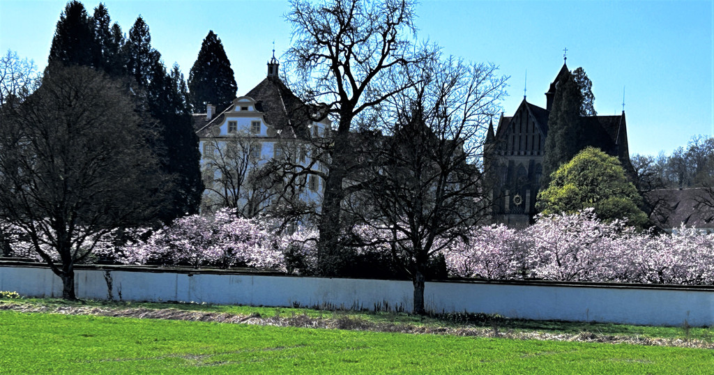 I2023_04_05_ Schloss Salem MG_9291 _4_.JPG