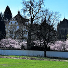 I2023_04_05_ Schloss Salem MG_9291 _4_.JPG