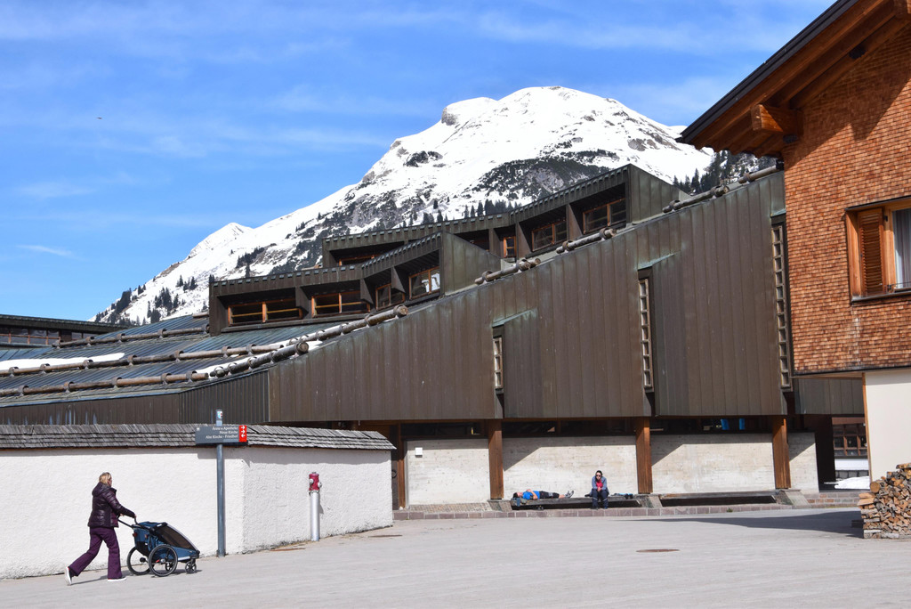 c_Scopoli_20230410_0087.JPG