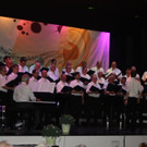 IMG_8412.jpg