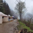IMG_20230415_151830.jpg