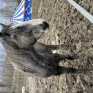 IMG_1989.jpeg