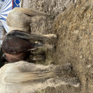 IMG_2027.jpeg
