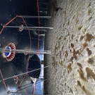 IMG_2001.jpeg