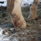 DSC_0560 _1_.JPG