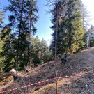 ABD0003-20230409.jpg