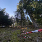 ABD0002-20230409.jpg