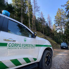 ABD0004-20230409.jpg