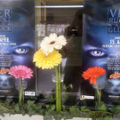 Bilder vom Frühlingskonzert des Musikvereines Lochau (DOKU 2023) 