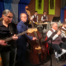 Musikverein FR__HLINGSKONZERT B Musikanten DETAIL15-04-2023 _8_.jpg