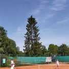 IMG_20210712_115217.jpg
