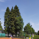 IMG20210712113035.jpg