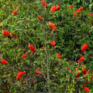 AFP_33DL3C6.jpg