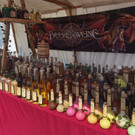 Ritterfest in Wiener Seestadt