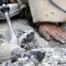 AFP_33DR2C3.jpg