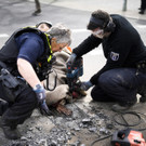 Germany_Climate_Protest_32710.jpg
