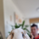 20230328_152735.jpg
