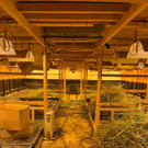 p32604-Foto2.JPG