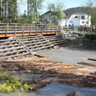 IMG_8970.jpg