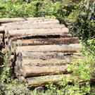 IMG_8913.jpg