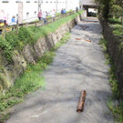 IMG_8937.jpg