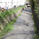 IMG_8938.jpg