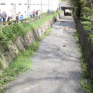 IMG_8939.jpg