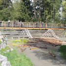 IMG_8967.jpg
