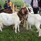 DSC_0034.JPG