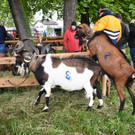 DSC_0035.JPG