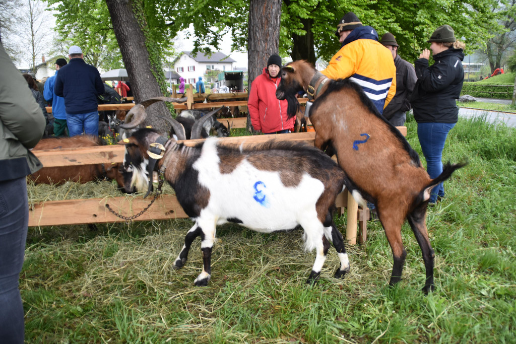DSC_0035.JPG