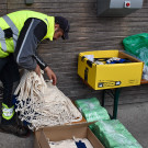 20230429_Flurreinigung 2023-3.jpg