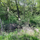 IMG_5210 Kopie.jpg