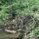 IMG_5195 Kopie.jpg