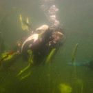 Antauchen _27_.JPG