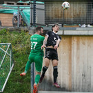 DSC07725a.jpg