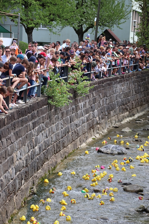 Duckrace 7.jpg