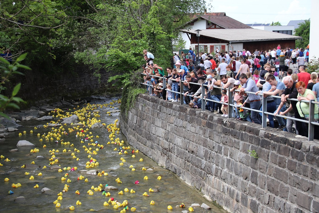 Duckrace 7b.jpg