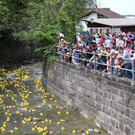 Duckrace 7b.jpg