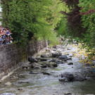 IMG_8393_jiw.jpg