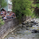 IMG_8396_jiw.jpg