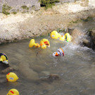 IMG_8407_jiw.jpg