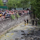 IMG_8408_jiw.jpg
