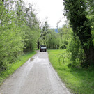 Seeufer _19_.JPG